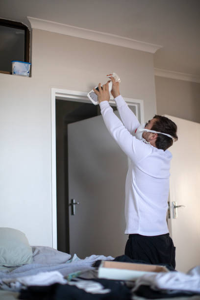 Best Basement Mold Removal  in Decatur, IN