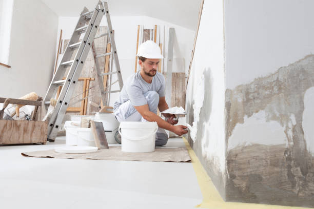 Best Mold Prevention Services  in Decatur, IN
