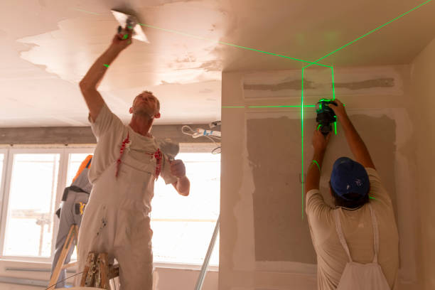Mold Documentation for Insurance Claims in Decatur, IN