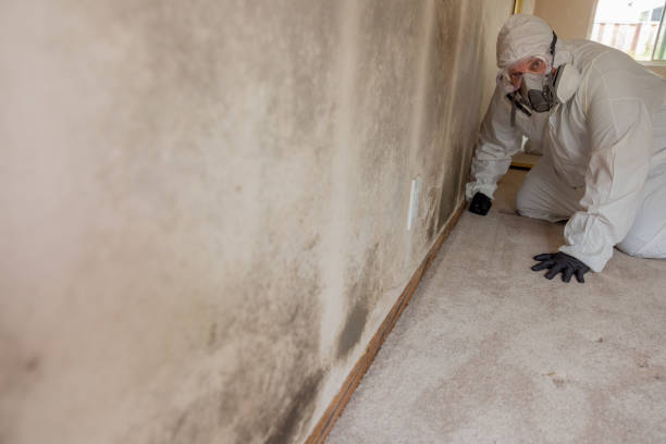 Best Commercial Mold Inspection  in Decatur, IN