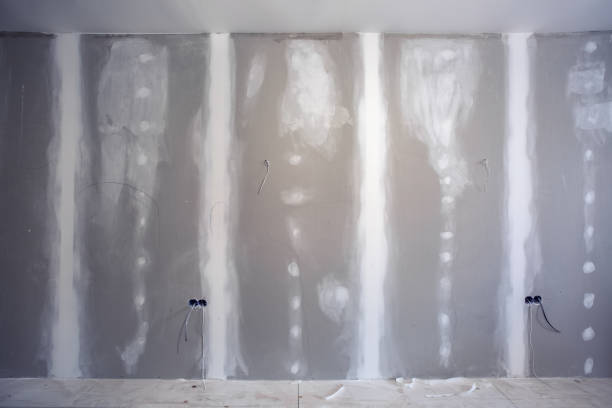 Best Post-Construction Mold Inspection  in Decatur, IN